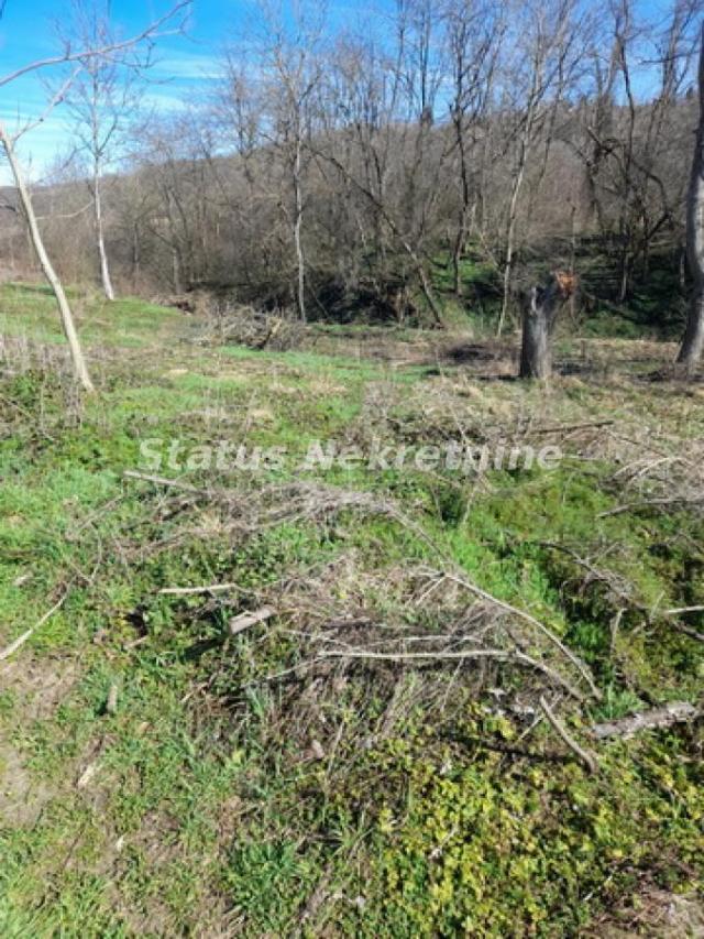 Sremski Karlovci-Fantastičan osunčan plac 2402 m2 sa izlazom na Potok koji Dosadno Žubori-065/385888