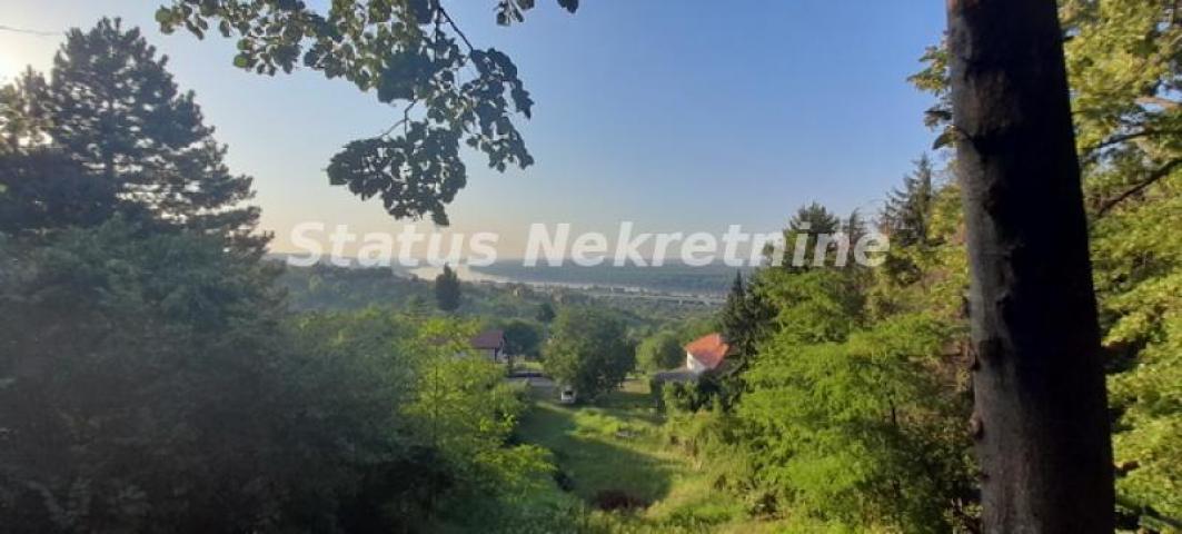 Čortanovci-Veliki Građevinski Plac 3740 m2 za Probrane-065/385 8880