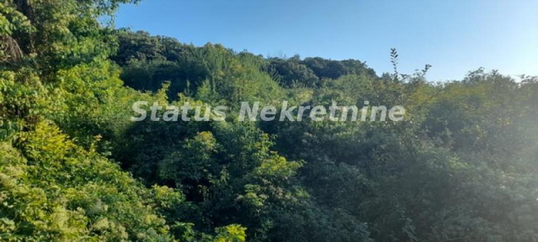 Čortanovci-Veliki Građevinski Plac 3740 m2 za Probrane-065/385 8880