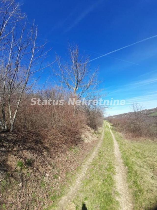 Sremski Karlovci-Fantastičan Osunčan plac 3 hektara iz 3 parcele sa pogledom za Uživanje-065/385 888