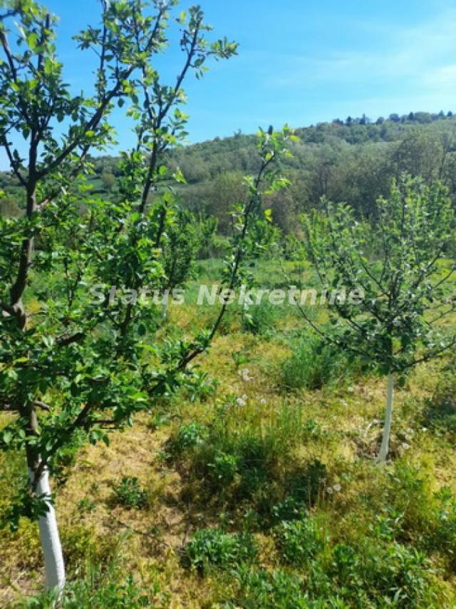 Sremski Karlovci-Fantastičan Osunčan plac 3 hektara iz 3 parcele sa pogledom za Uživanje-065/385 888