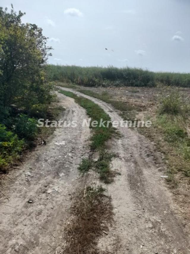 Sremska Mitrovica-Velika Parcela 34150 m2 u blizini Auto-Puta za Komercijalnu Delatnost-065/385 8880