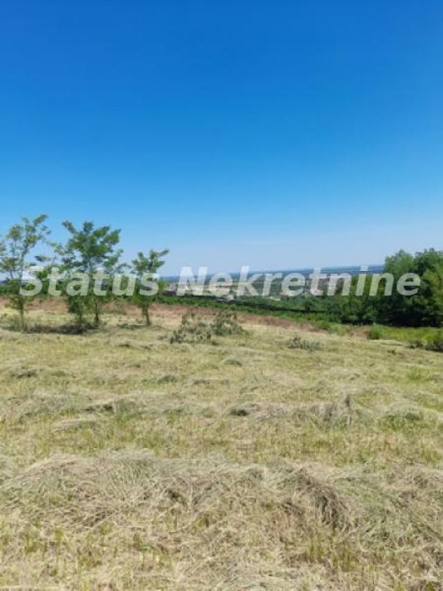 Petrovaradin-Građevinski Plac 6465 m2 na vrhu Alibegovca za Hotele ili Sportske sadržaje-065/385 888