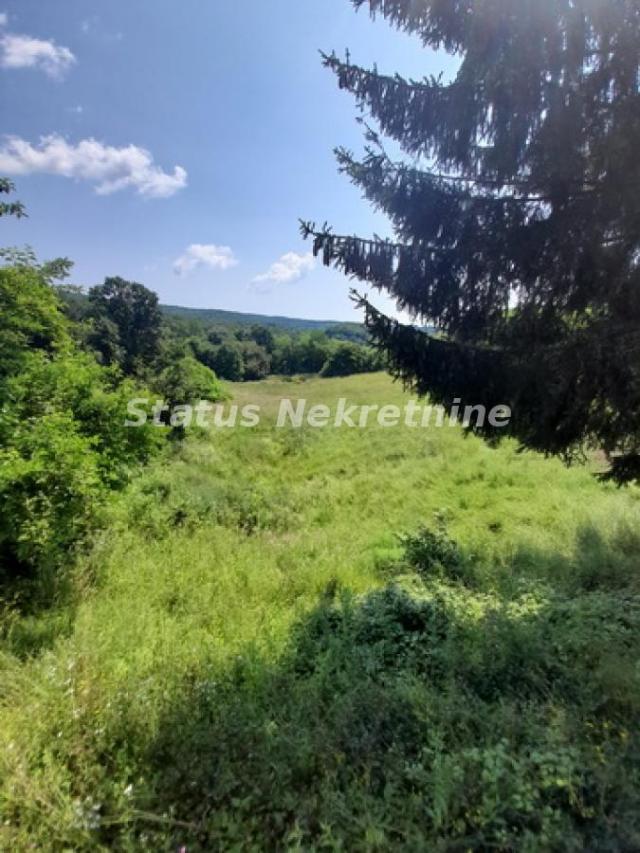 Vrdnik-Veliki Plac 13568 m2 u blizini *Fruške Terme* pogodan za Rezistencionalne Vile-065/385 8880