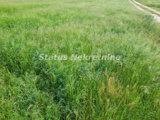 Futog-veliki građevinski plac 3381 m2 na odličnoj lokaciji bliže Veterniku-065/3858880