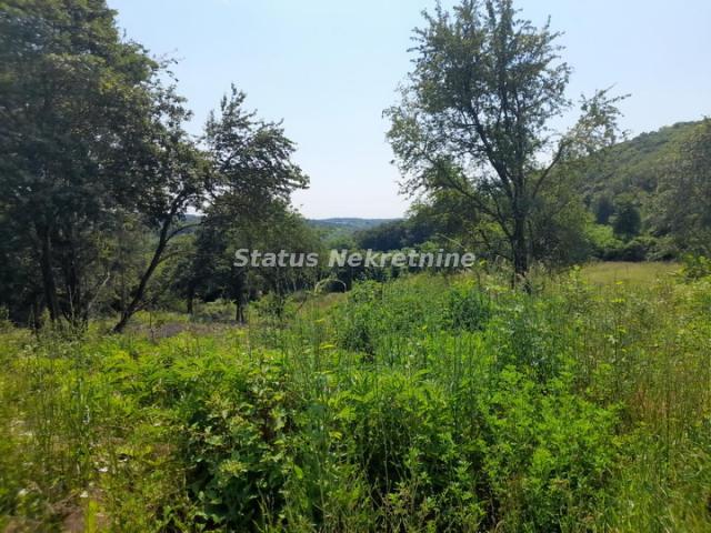 Vrdnik-Veliki Plac 13568 m2 u blizini *Fruške Terme* pogodan za Rezistencionalne Vile-065/385 8880