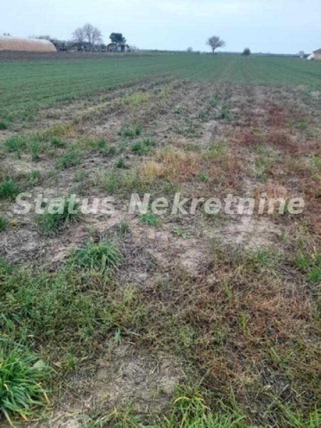 Futog-Odličan Građevinski plac 686 m2 u Novom Futogu-065/385 8880