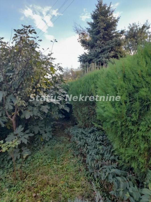 Petrovaradin-*Ekskluziva*-Odlična Porodična kuća 135 m2 u mirnom Visinskom kraju-065/385 8880