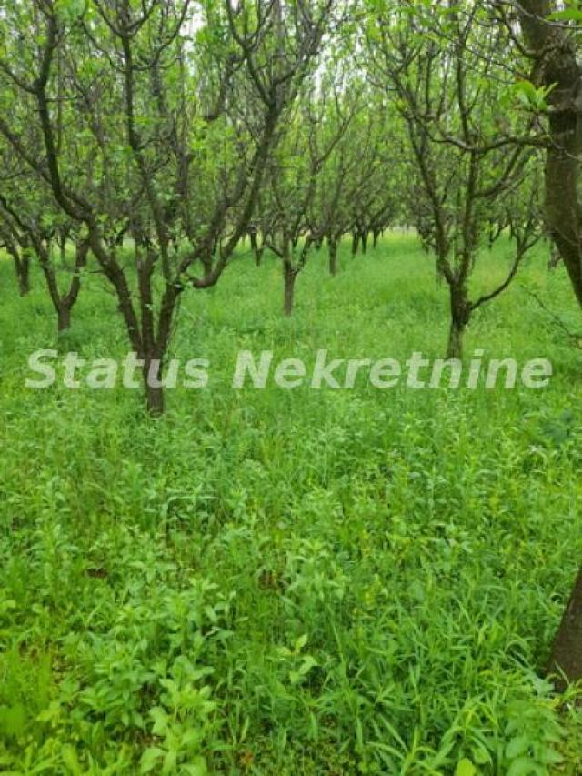 Vrdnik-Plac 1000 m2 u Mirnom kraju-065/385 8880