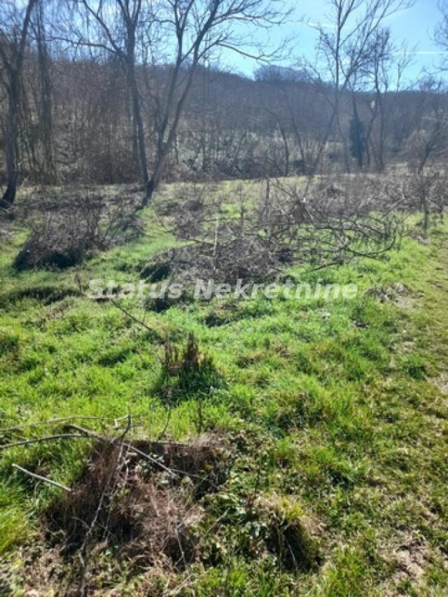 Sremski Karlovci-Fantastičan osunčan plac 2402 m2 sa izlazom na Potok koji Dosadno Žubori-065/385888