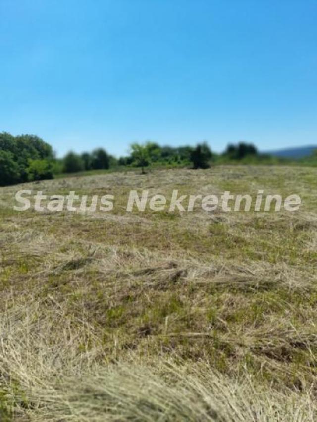 Petrovaradin-Građevinski Plac 6465 m2 na vrhu Alibegovca za Hotele ili Sportske sadržaje-065/385 888