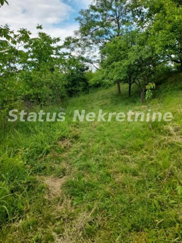 Mala Kamenica-Osunčan Plac 975 m2 za Vinogradarsko-Voćarske poslove-065/3858880