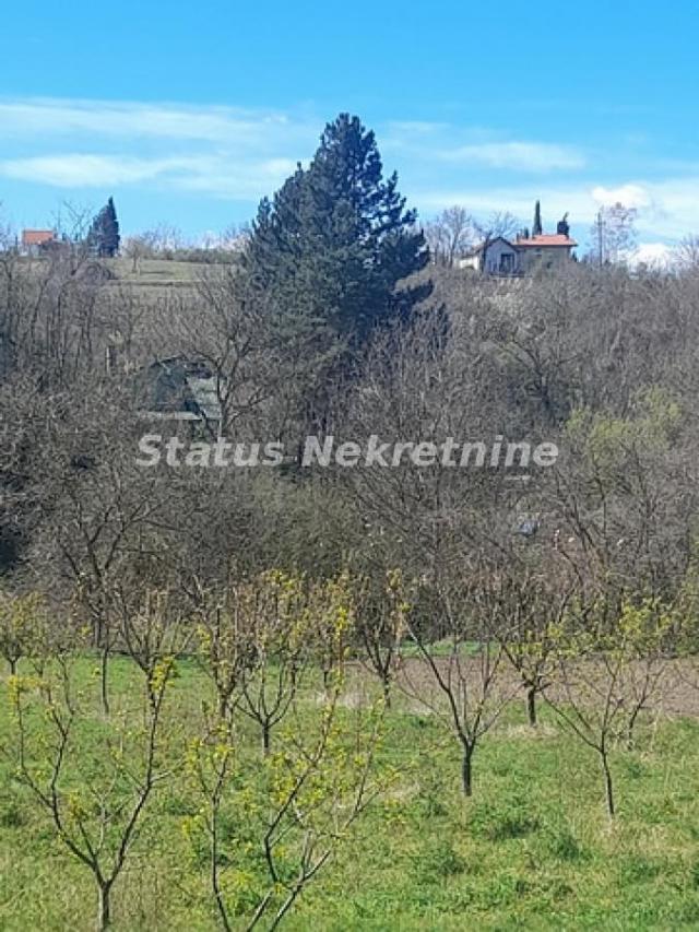 Banoštor-Veliki Građevinski Plac 1980 m2 za kupce sa Posebnim stilom života-065/385 8880