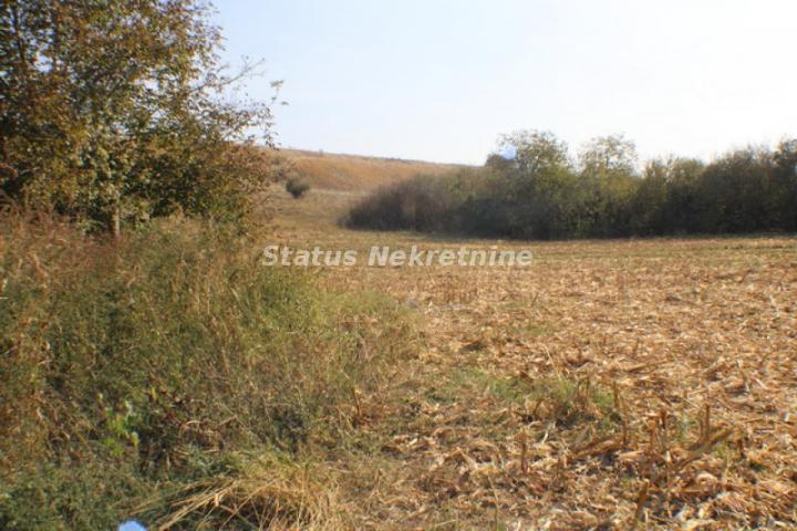 Okolina Iriga-Salaš sa Okućnicom od 9760 m2-065/385 8880