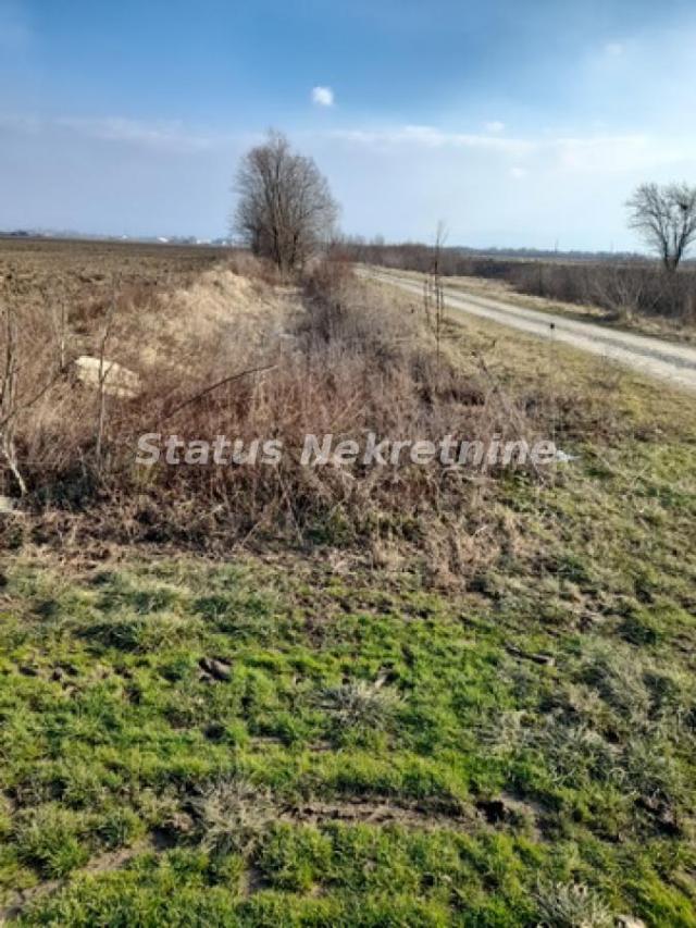 Futog-potez Vizić-Poljoprivredno zemljište 4 jutra na budućem Magistralnom putu Novi Sad-Bačka Palan