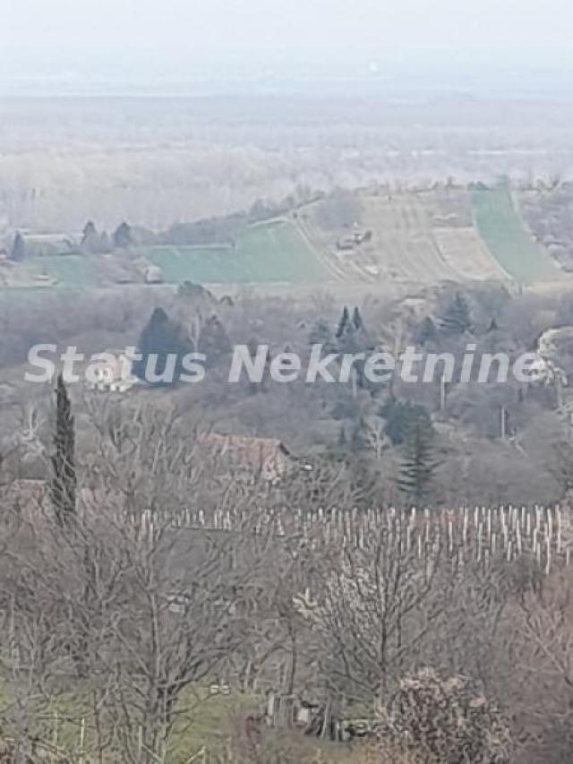 Petrovaradin-Veliki Građevinski Plac 3625 m2 na Platou Vezirca-065/385 8880