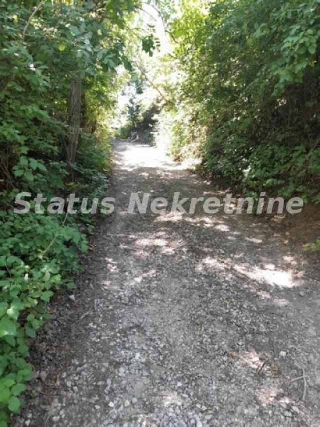 Petrovaradin-Građevinski Plac 6465 m2 na vrhu Alibegovca za Hotele ili Sportske sadržaje-065/385 888