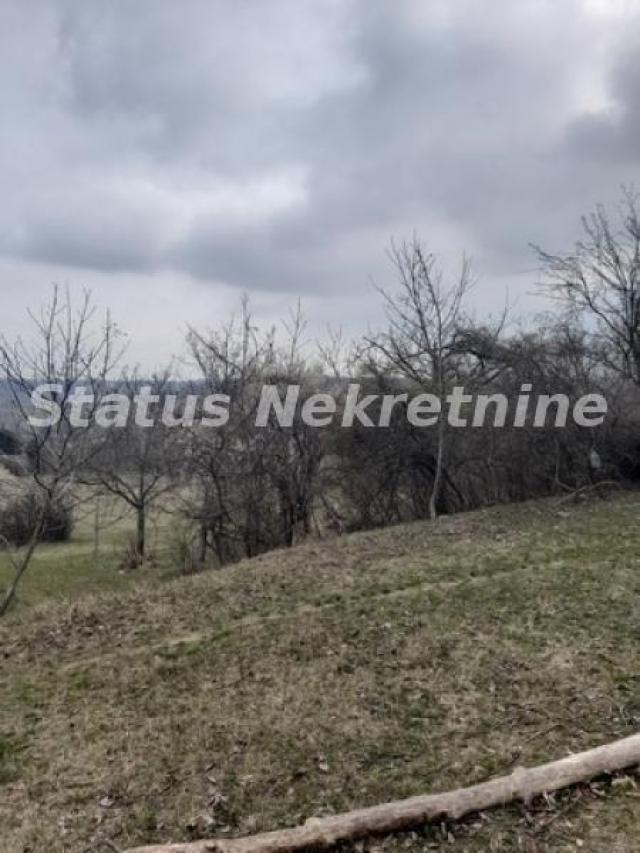 Petrovaradin-Veliki Građevinski Plac 3625 m2 na Platou Vezirca-065/385 8880