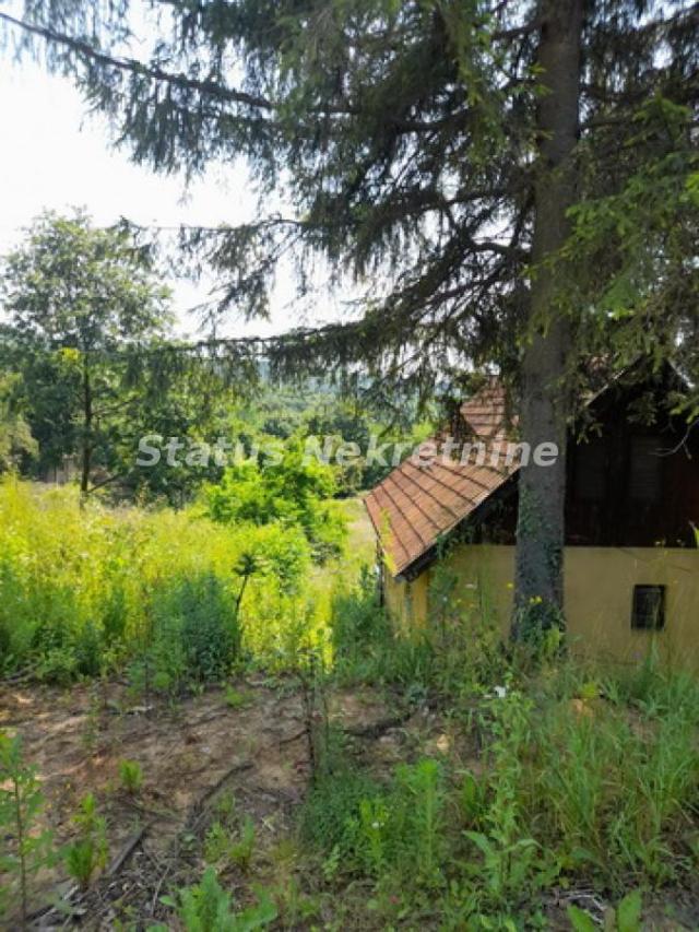 Vrdnik-Veliki Plac 13568 m2 u blizini *Fruške Terme* pogodan za Rezistencionalne Vile-065/385 8880