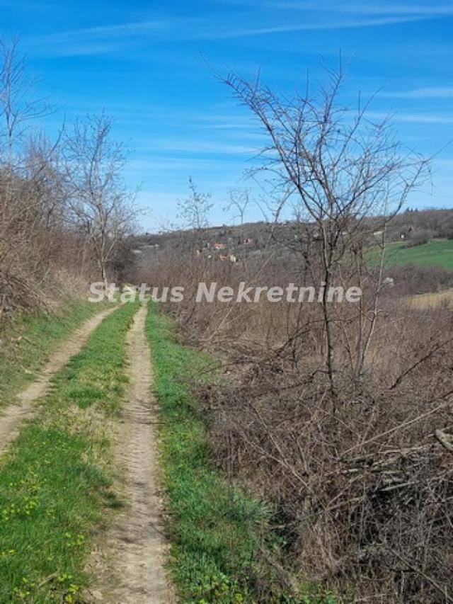 Sremski Karlovci-Fantastičan Osunčan plac 3 hektara iz 3 parcele sa pogledom za Uživanje-065/385 888