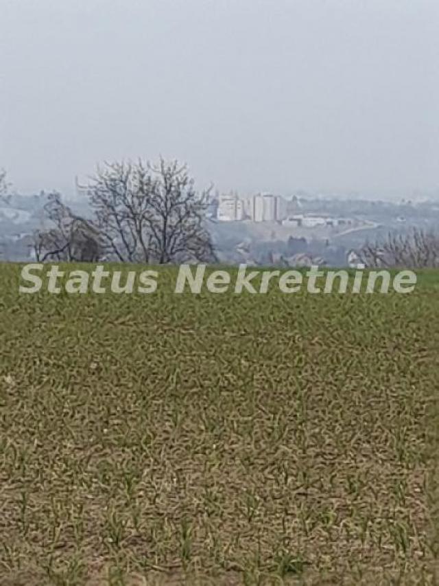 Petrovaradin-Veliki Građevinski Plac 3625 m2 na Platou Vezirca-065/385 8880