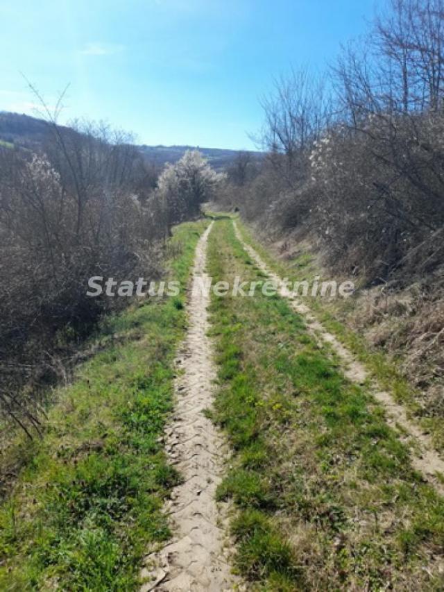 Sremski Karlovci-Fantastičan Osunčan plac 3 hektara iz 3 parcele sa pogledom za Uživanje-065/385 888