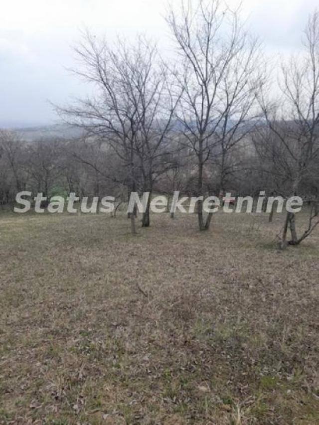 Petrovaradin-Veliki Građevinski Plac 3625 m2 na Platou Vezirca-065/385 8880