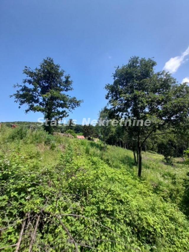 Vrdnik-Veliki Plac 13568 m2 u blizini *Fruške Terme* pogodan za Rezistencionalne Vile-065/385 8880