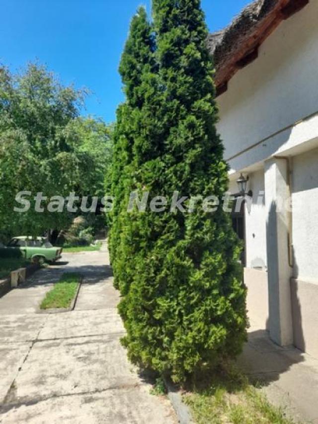 Sremski Karlovci- Autentična Sremačka kuća sa krovom od Trske-065/385 8880