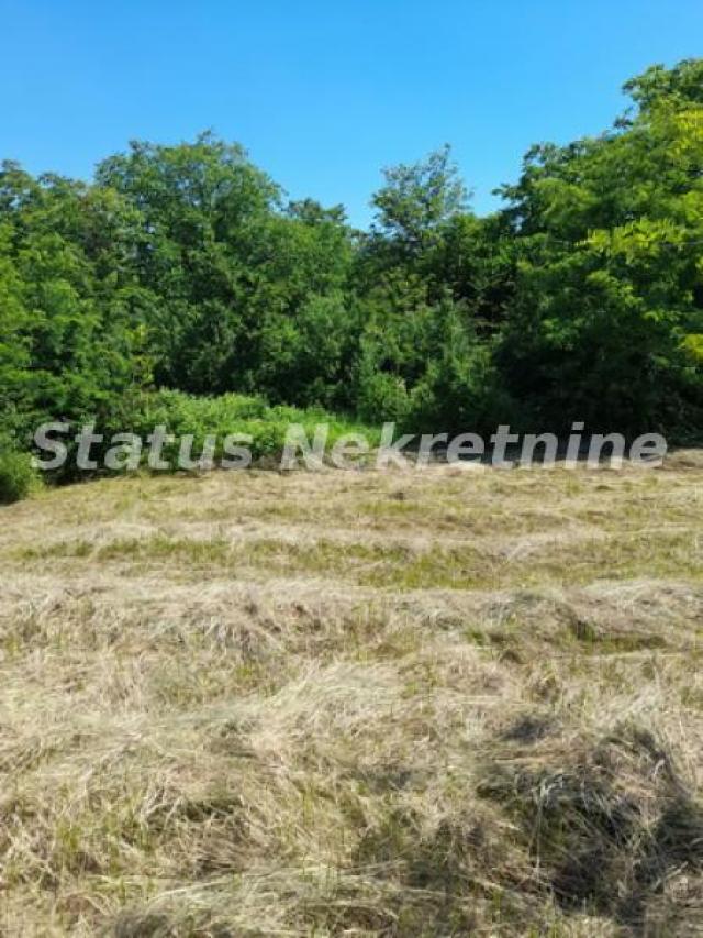 Petrovaradin-Građevinski Plac 6465 m2 na vrhu Alibegovca za Hotele ili Sportske sadržaje-065/385 888