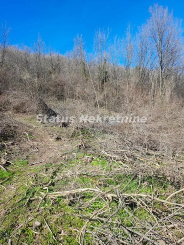 Sremski Karlovci-Fantastičan Osunčan plac 3 hektara iz 3 parcele sa pogledom za Uživanje-065/385 888