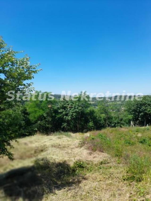 Petrovaradin-Građevinski Plac 6465 m2 na vrhu Alibegovca za Hotele ili Sportske sadržaje-065/385 888