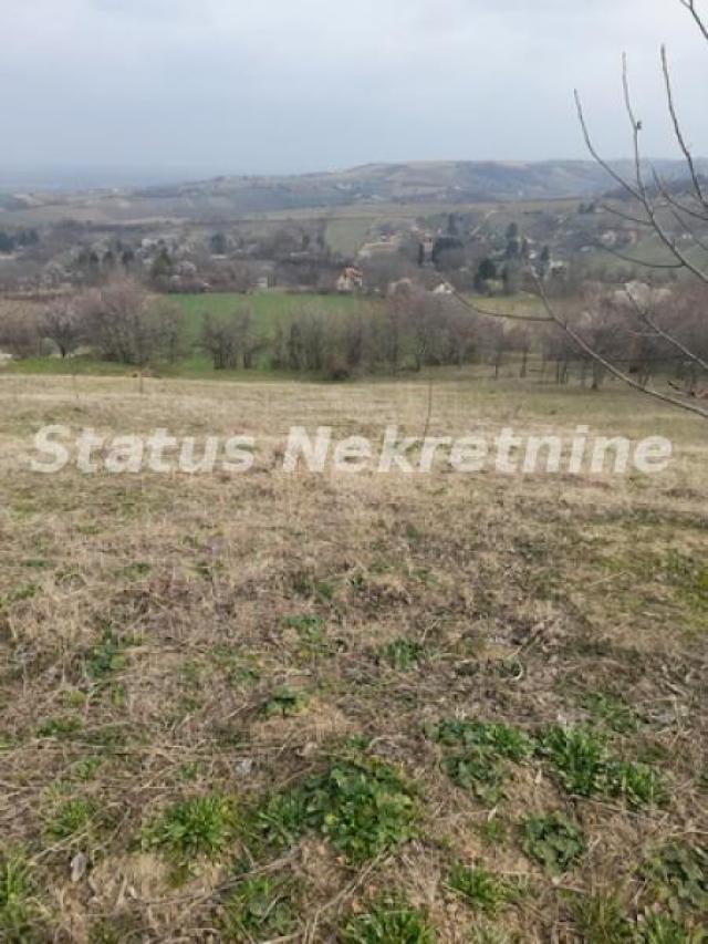 Petrovaradin-Veliki Građevinski Plac 3625 m2 na Platou Vezirca-065/385 8880