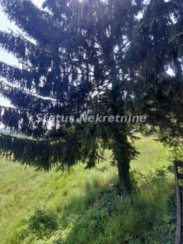 Vrdnik-Veliki Plac 13568 m2 u blizini *Fruške Terme* pogodan za Rezistencionalne Vile-065/385 8880