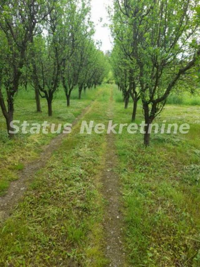 Vrdnik-Plac 1000 m2 u Mirnom kraju-065/385 8880