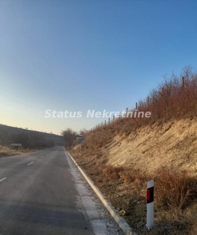 Fruška Gora-Porodična kuća 100 m2 na osunčanom velikom Placu 11408 m2 na brdu iznad Beočina-065/385 