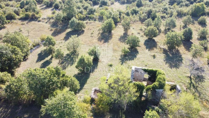 Vodnjan, surroundings, beautiful station surrounded by greenery!