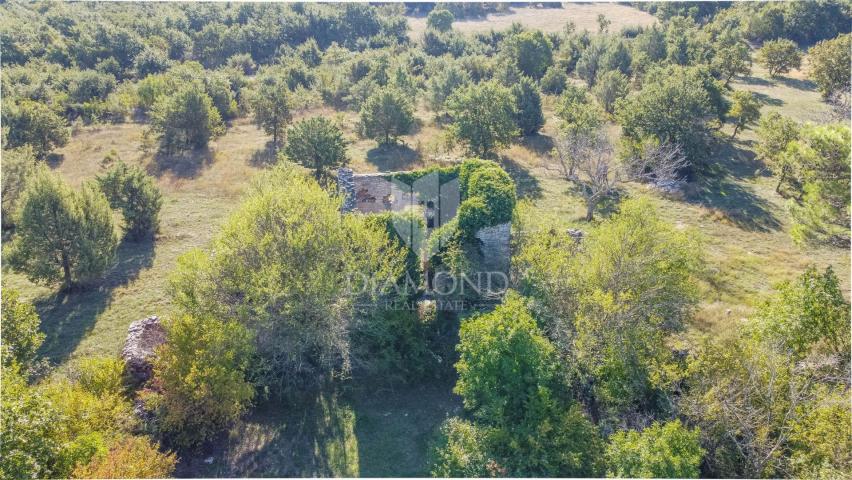 Vodnjan, surroundings, beautiful station surrounded by greenery!