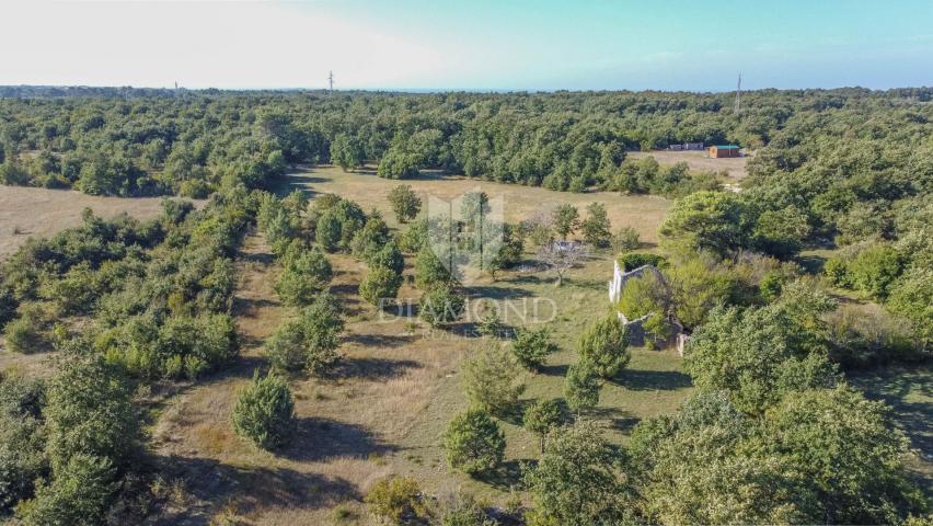 Vodnjan, surroundings, beautiful station surrounded by greenery!