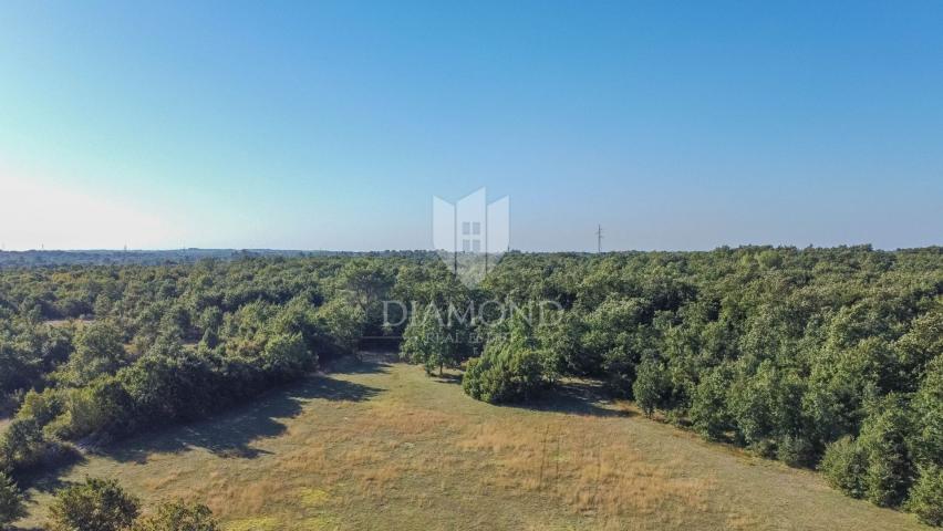 Vodnjan, surroundings, beautiful station surrounded by greenery!