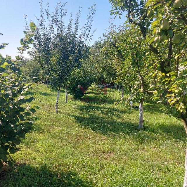 Srbobran, Lep plac sa voćnjakom sa izlazom na reku Krivaju