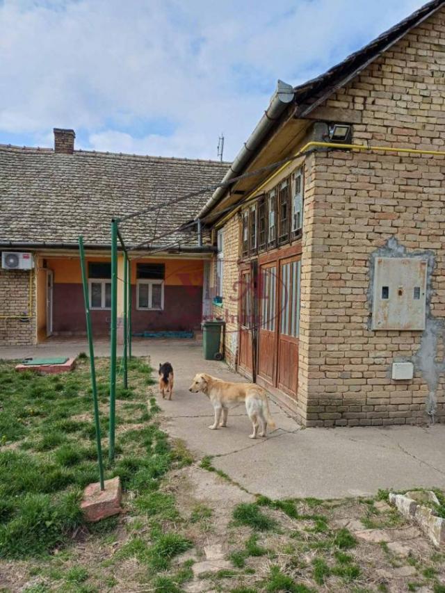 Srbobran, Nadalj, odlična kuća u centru na velikom placu