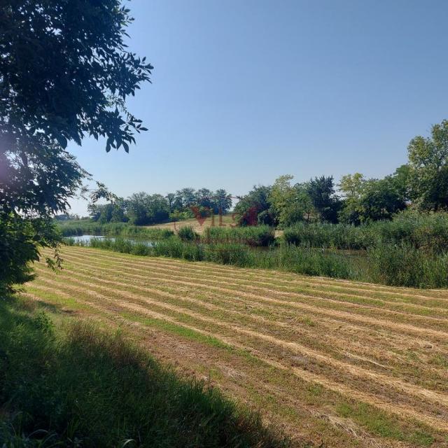 Srbobran, Lep plac sa voćnjakom sa izlazom na reku Krivaju