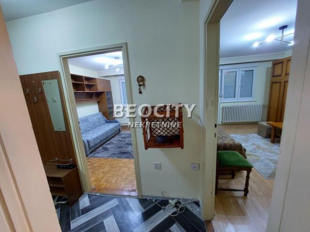 Novi Sad, Detelinara, Veselina Masleše, 2. 0, 56m2, 500EUR