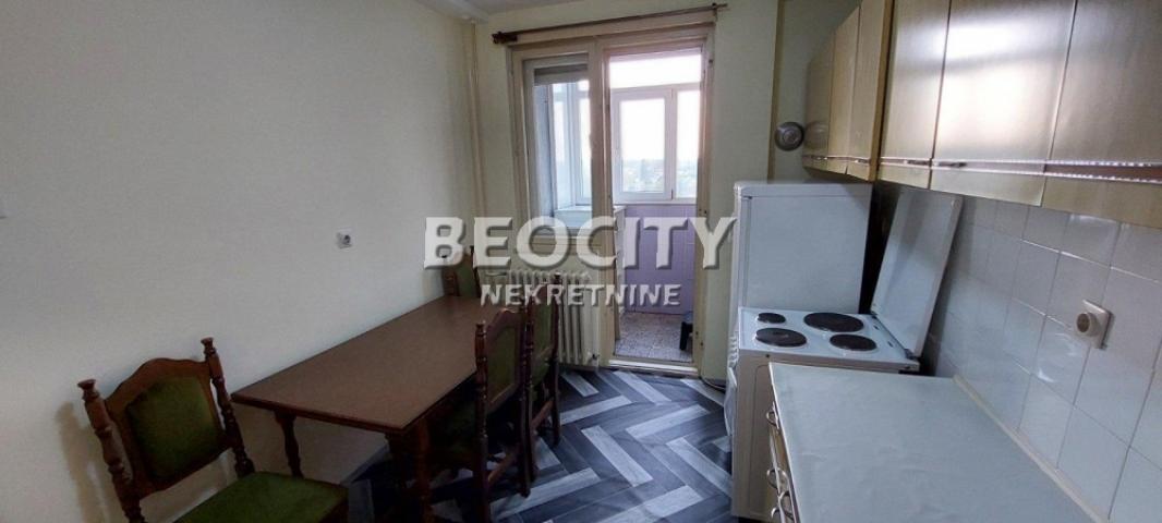 Novi Sad, Detelinara, Veselina Masleše, 2. 0, 56m2, 500EUR