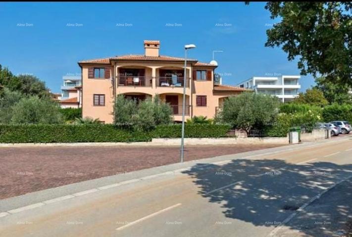 Apartment Novigrad, apartment in an attractive location, near the sea