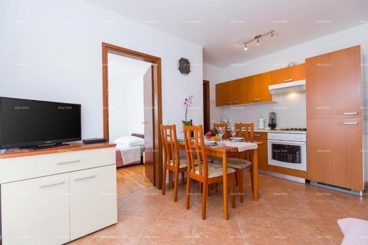 Apartment Novigrad, apartment in an attractive location, near the sea