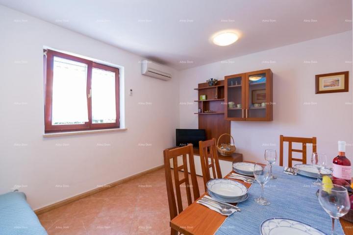 Apartment Novigrad, apartment in an attractive location, near the sea