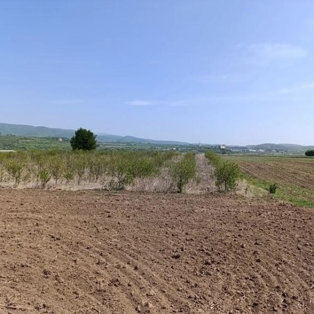 Njiva selo Bobovište, Aleksinac