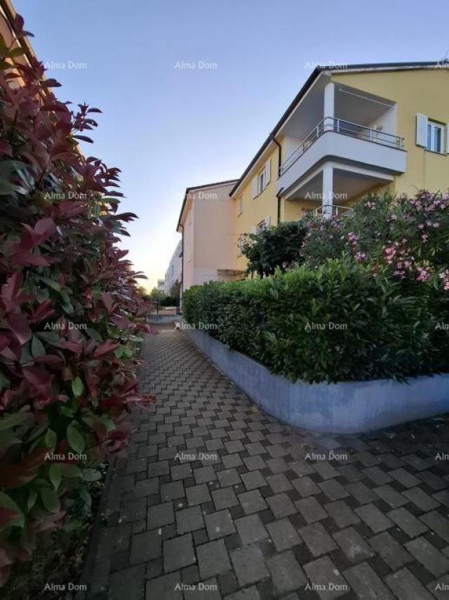 Apartment 3-room apartment for sale, Novigrad